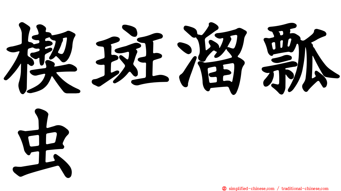 楔斑溜瓢虫