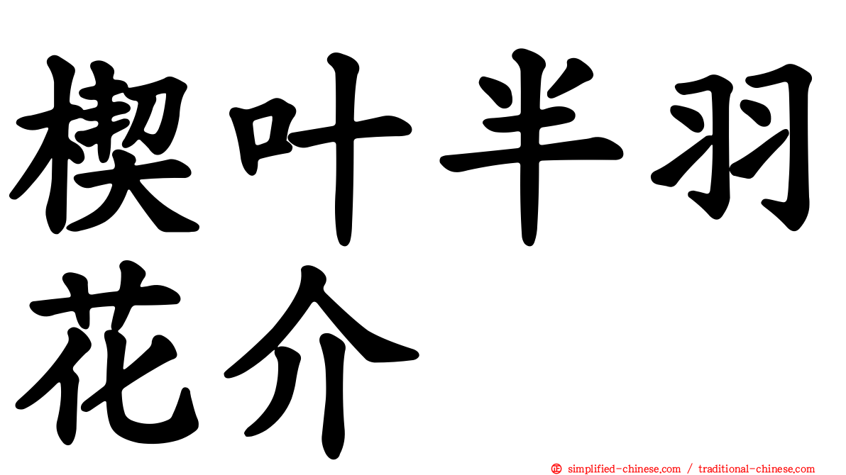 楔叶半羽花介