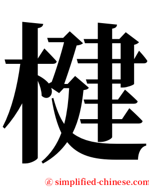 楗 serif font