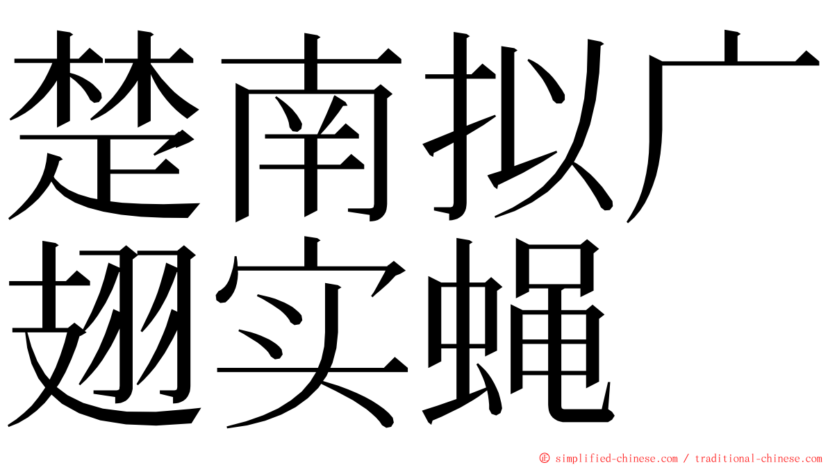 楚南拟广翅实蝇 ming font