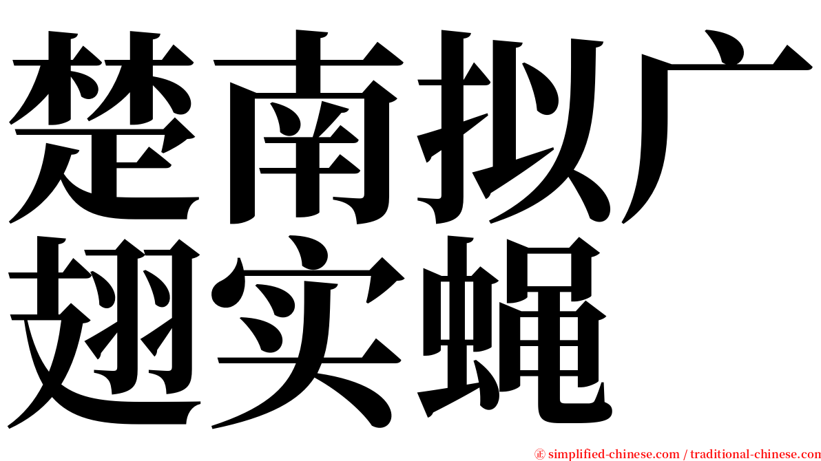 楚南拟广翅实蝇 serif font