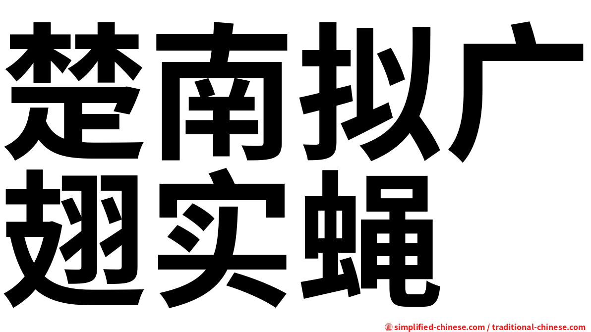 楚南拟广翅实蝇