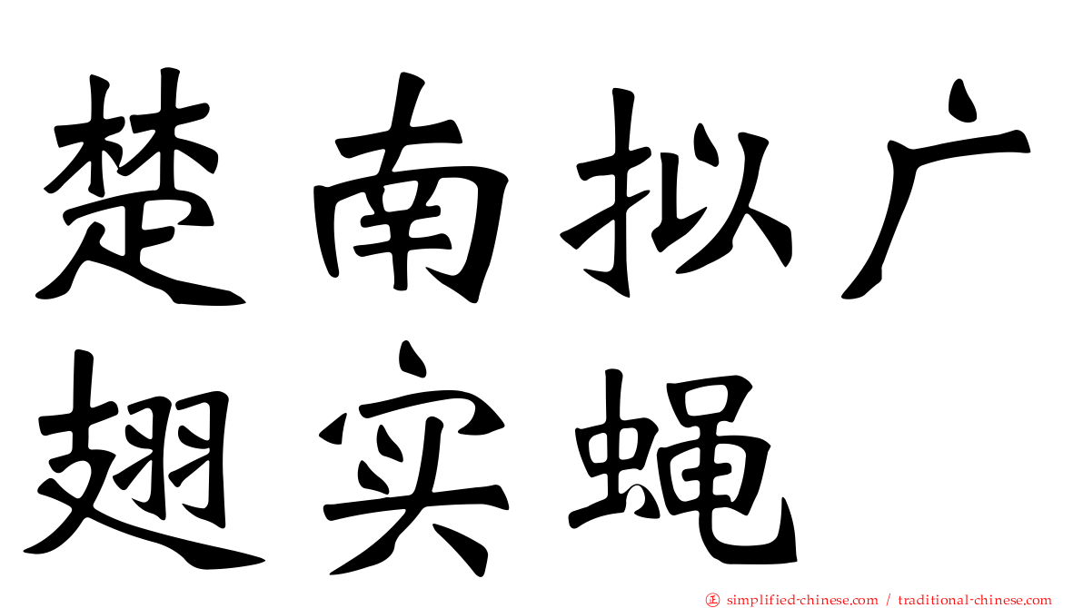 楚南拟广翅实蝇
