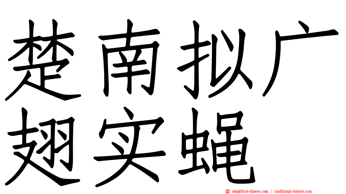 楚南拟广翅实蝇