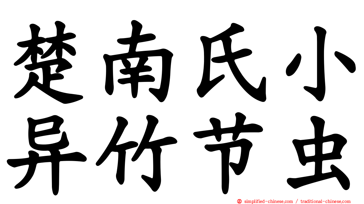 楚南氏小异竹节虫