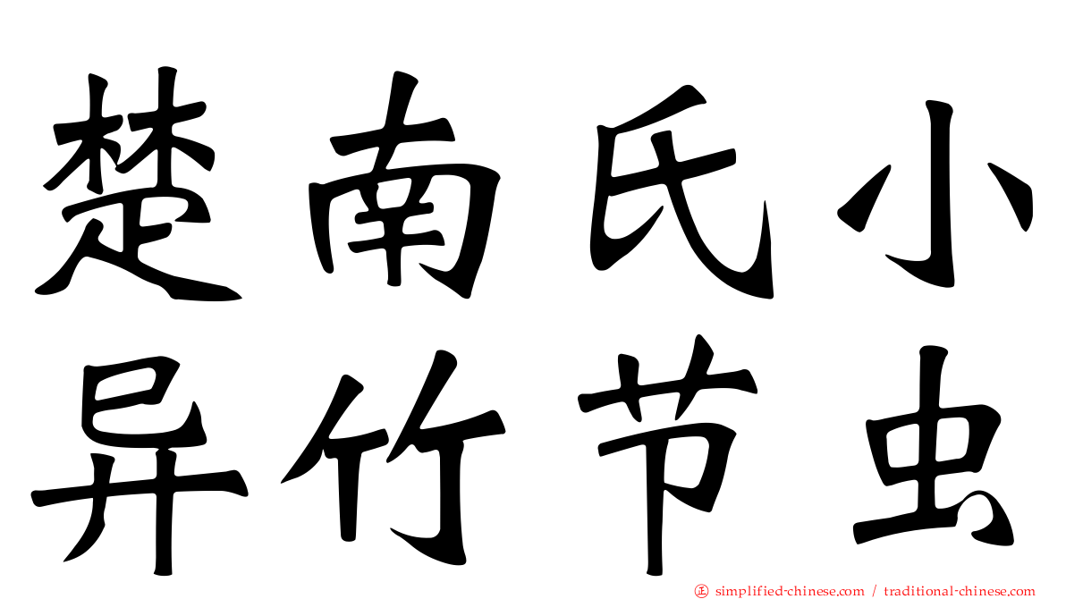 楚南氏小异竹节虫