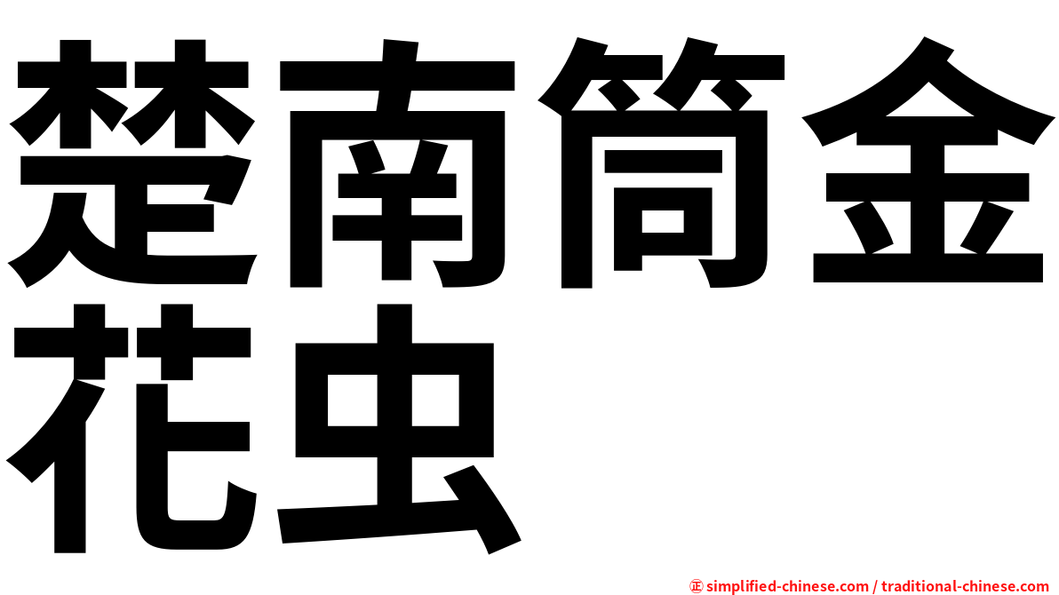 楚南筒金花虫