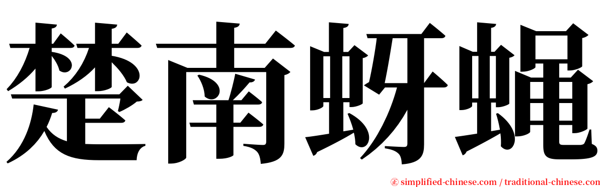 楚南蚜蝇 serif font