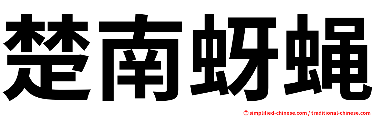 楚南蚜蝇