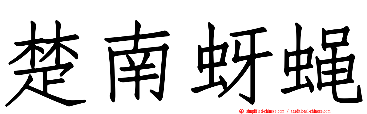 楚南蚜蝇