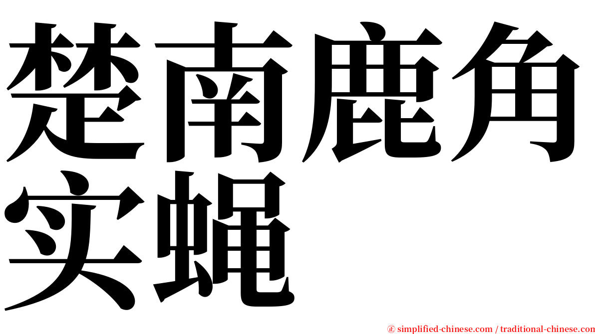 楚南鹿角实蝇 serif font