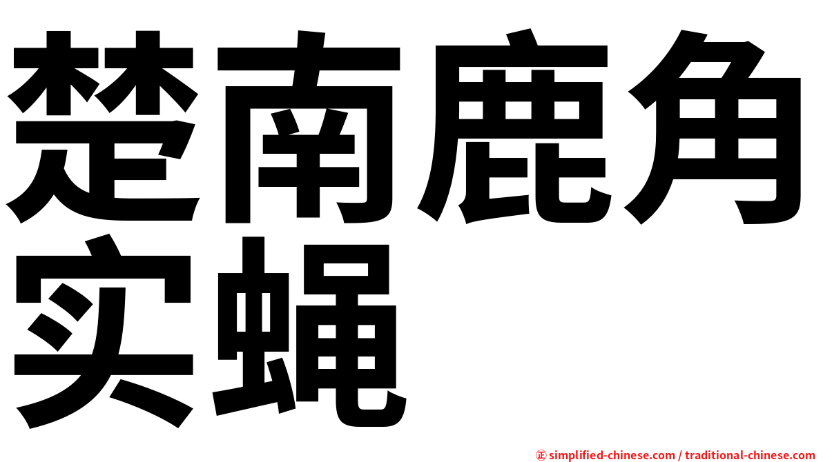 楚南鹿角实蝇
