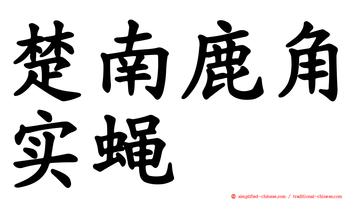楚南鹿角实蝇