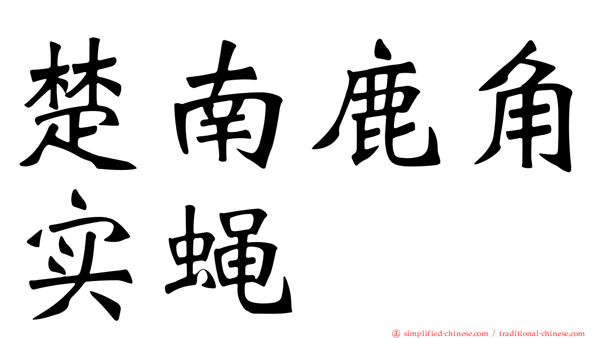 楚南鹿角实蝇