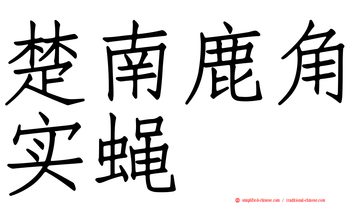 楚南鹿角实蝇