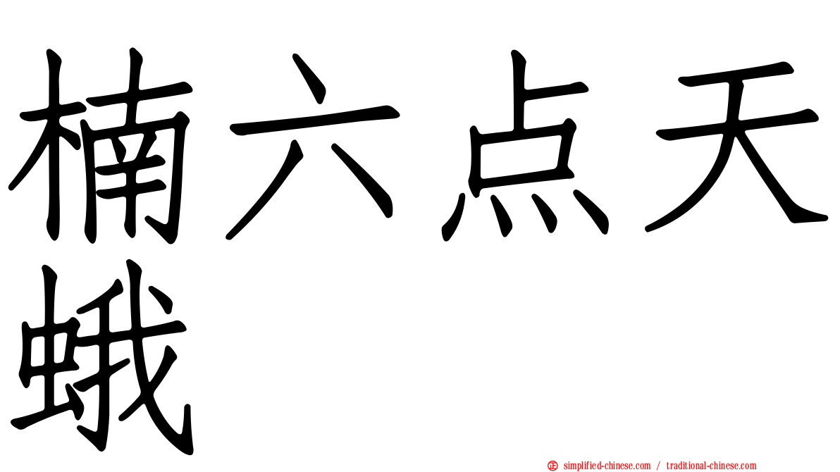楠六点天蛾