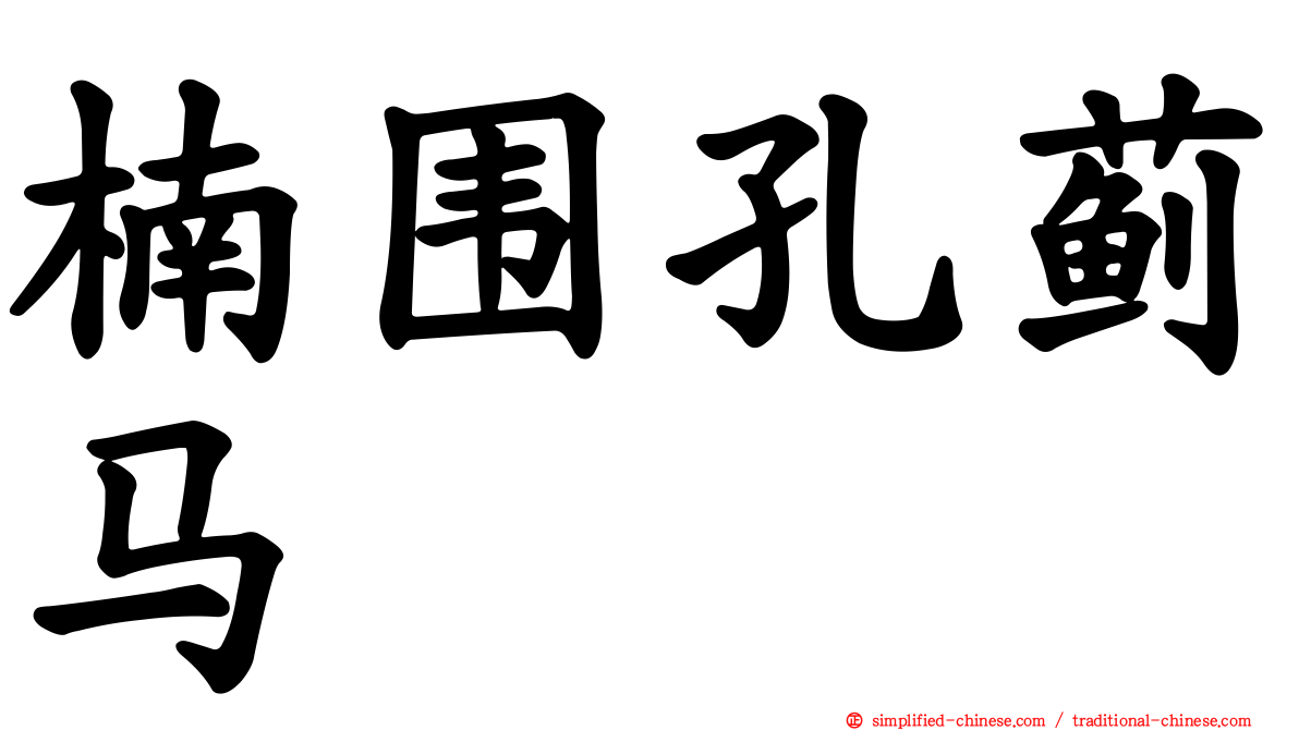 楠围孔蓟马