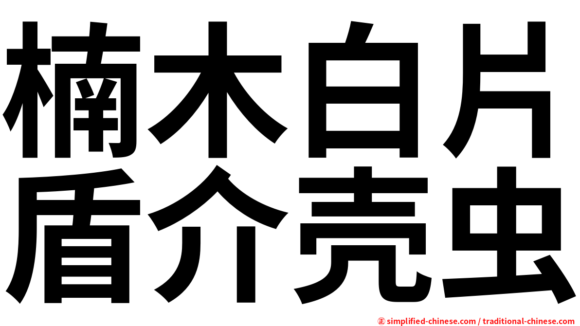 楠木白片盾介壳虫