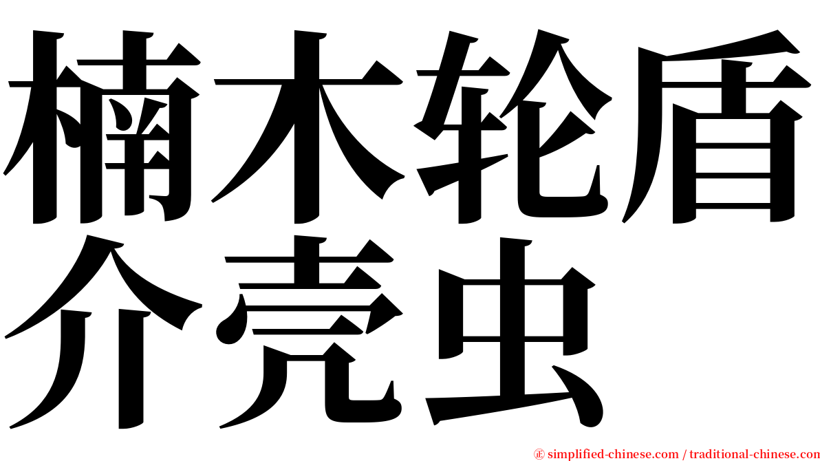 楠木轮盾介壳虫 serif font