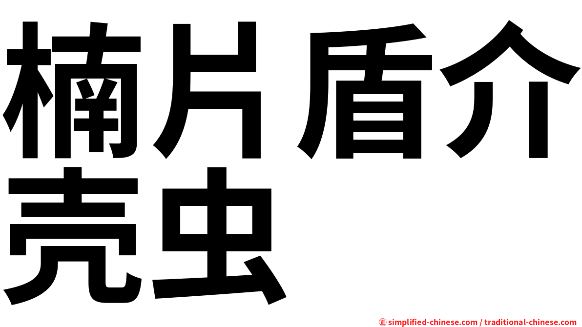 楠片盾介壳虫