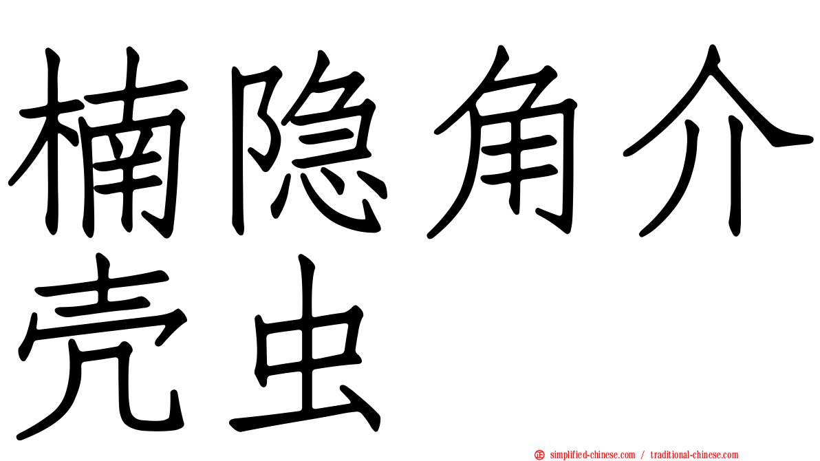 楠隐角介壳虫