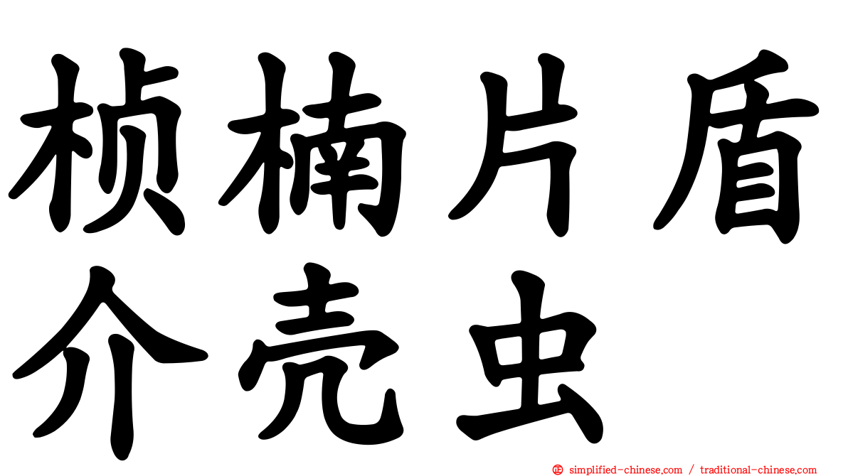 桢楠片盾介壳虫