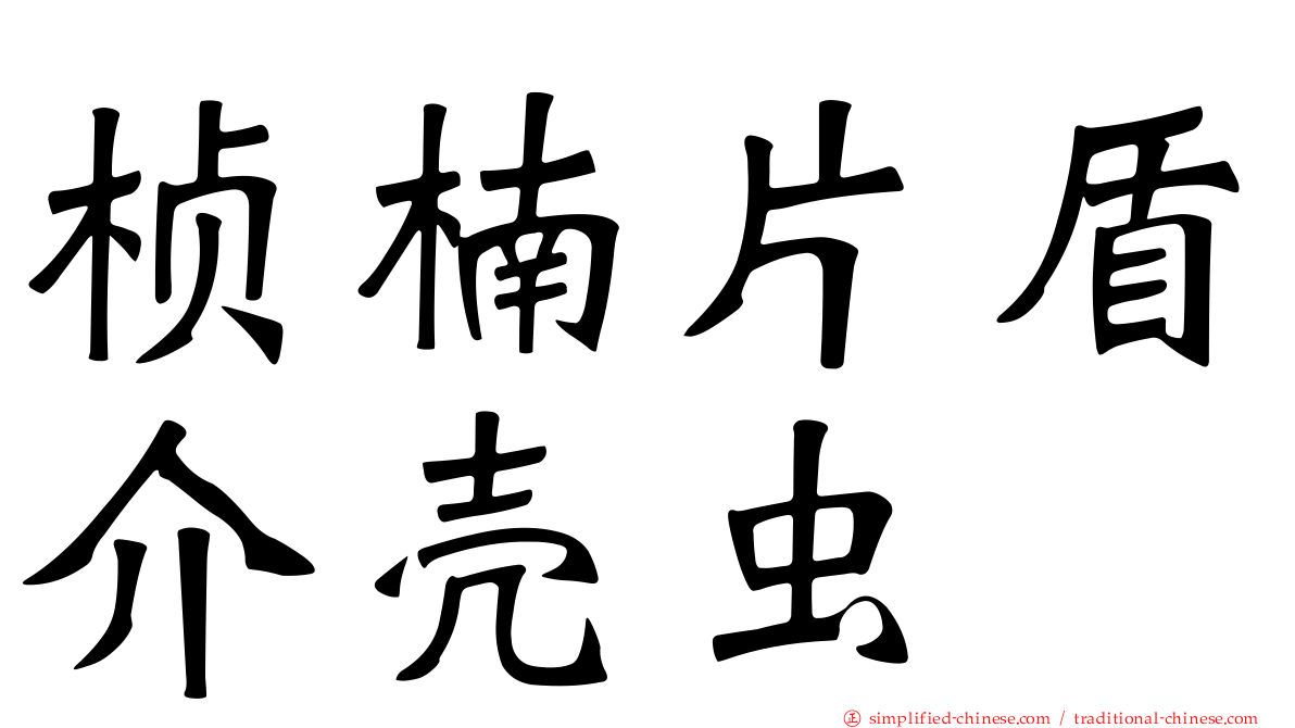 桢楠片盾介壳虫