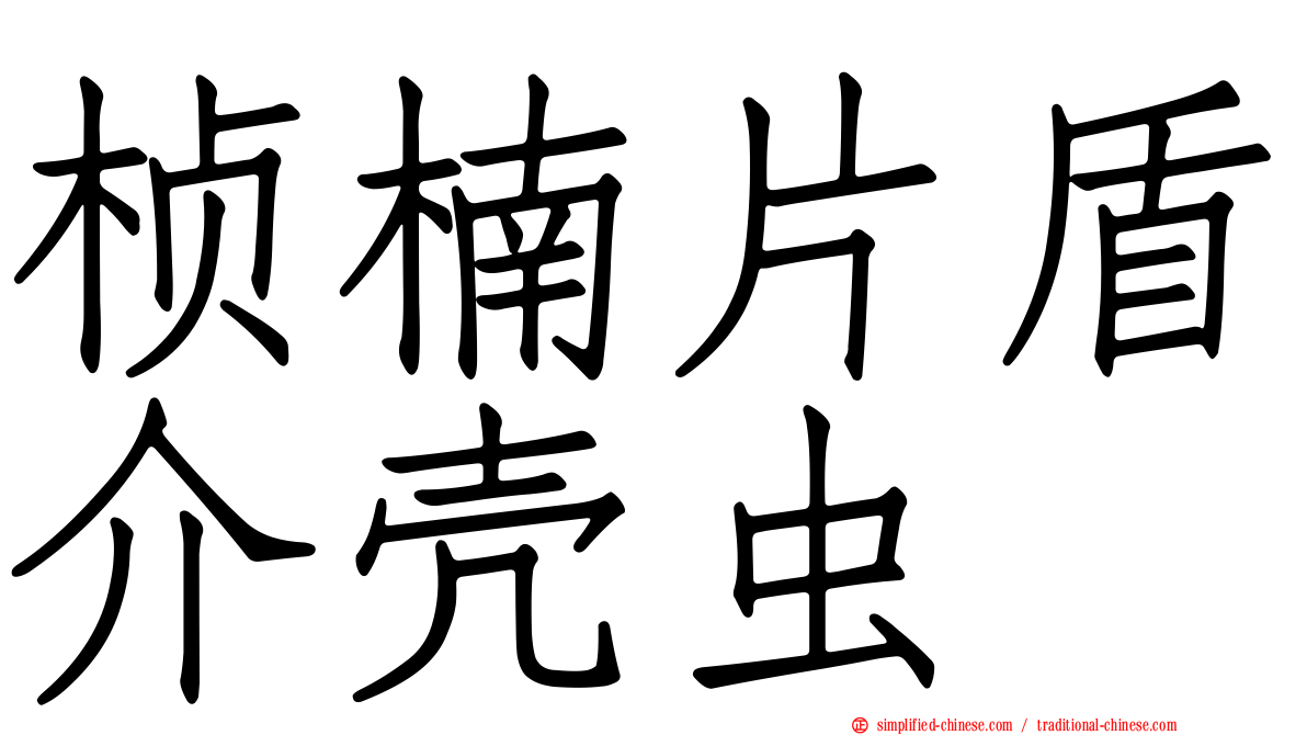 桢楠片盾介壳虫