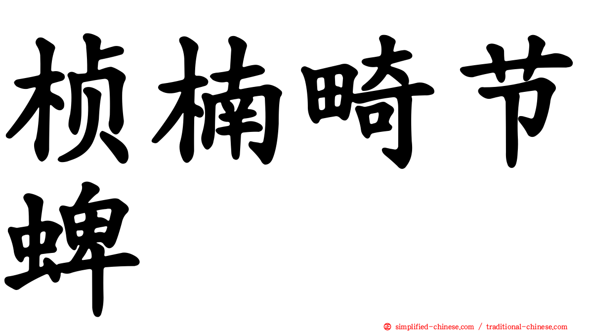 桢楠畸节蜱