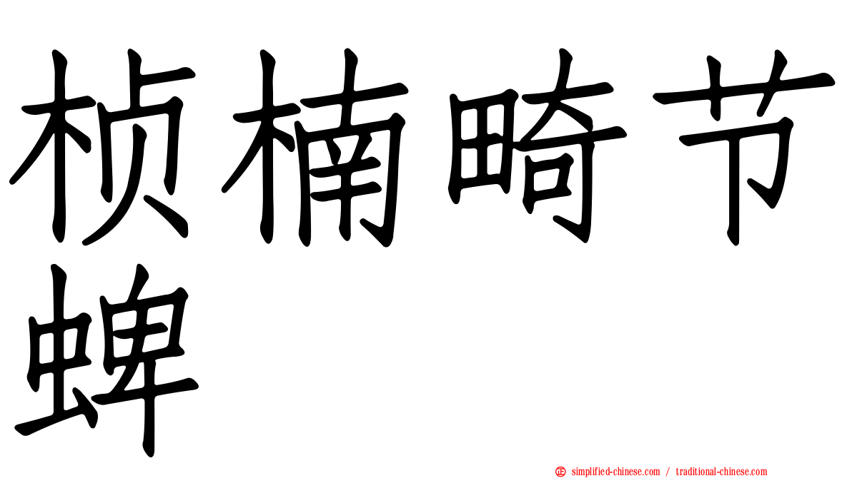 桢楠畸节蜱