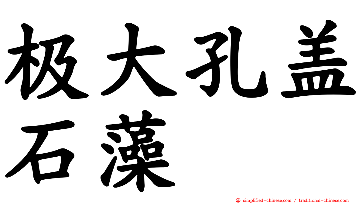 极大孔盖石藻