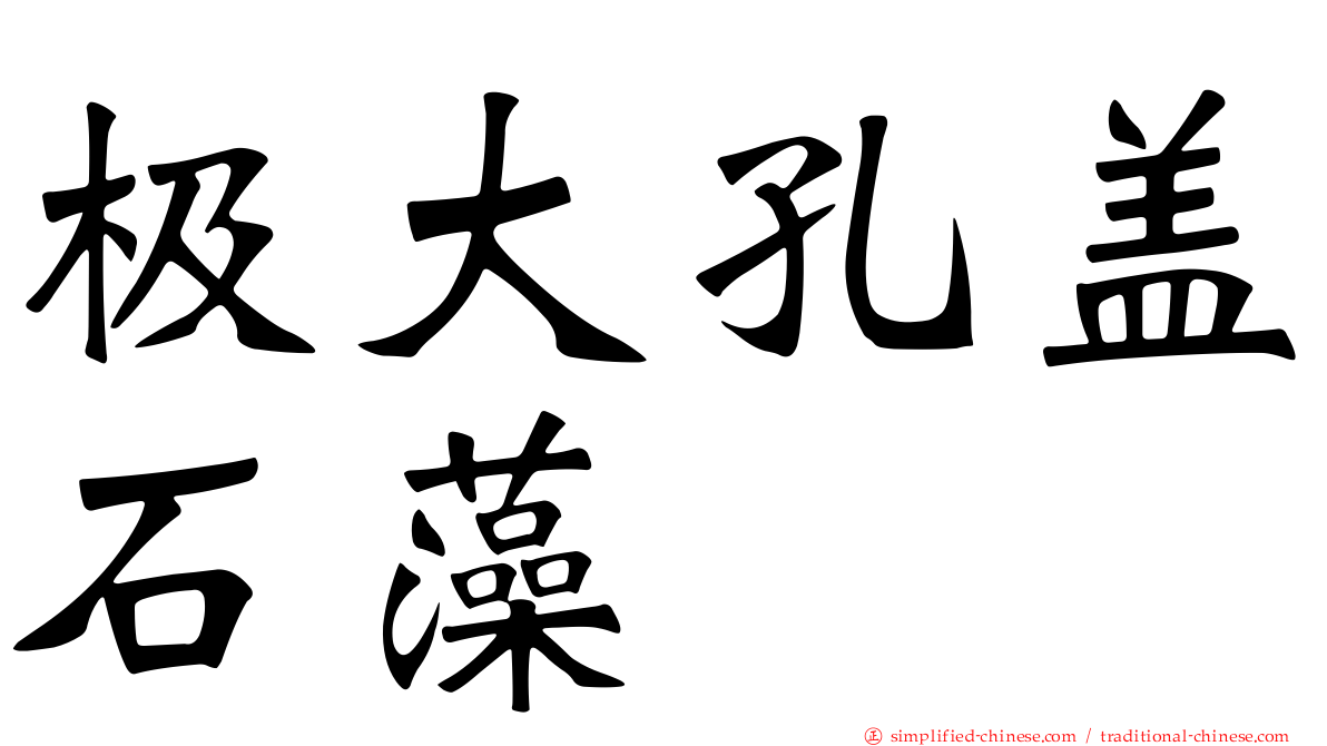 极大孔盖石藻