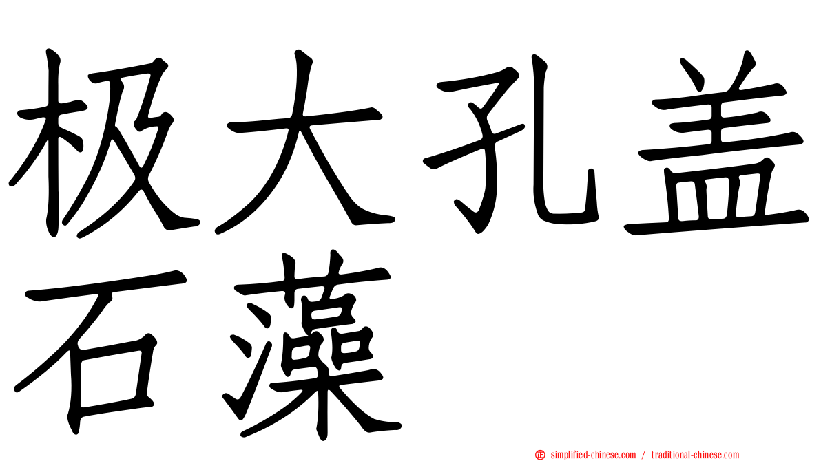 极大孔盖石藻