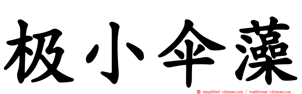 极小伞藻