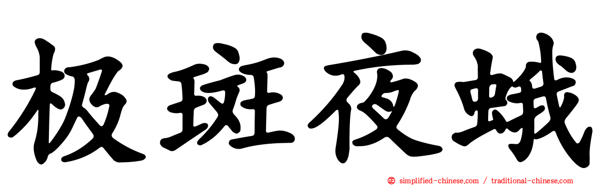 极斑夜蛾