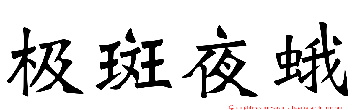 极斑夜蛾