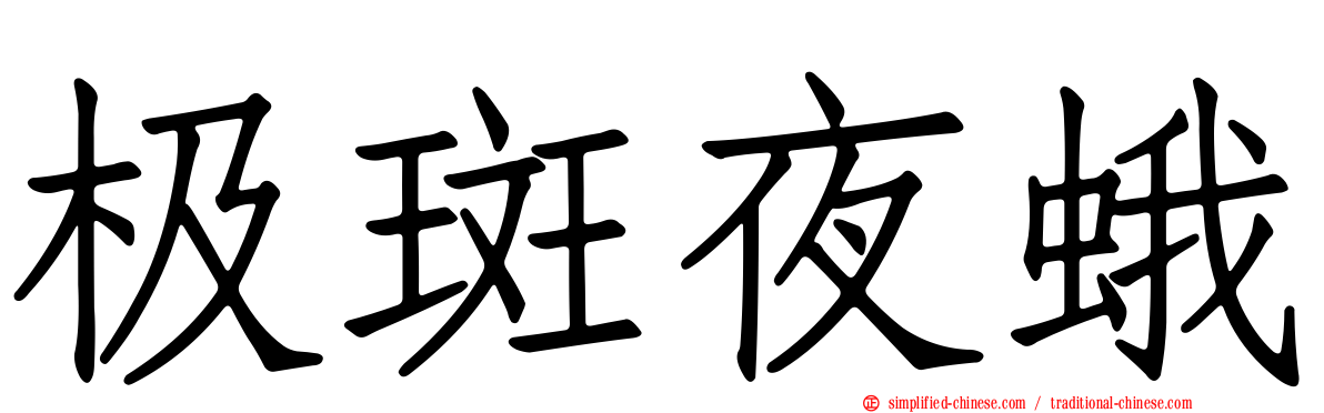 极斑夜蛾