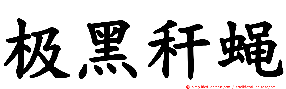 极黑秆蝇
