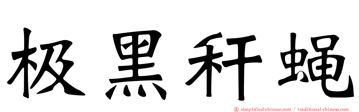 极黑秆蝇