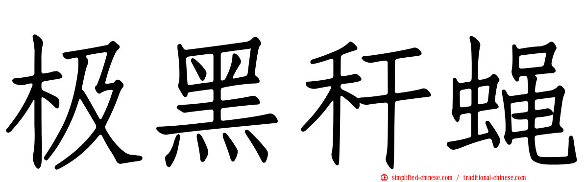 极黑秆蝇