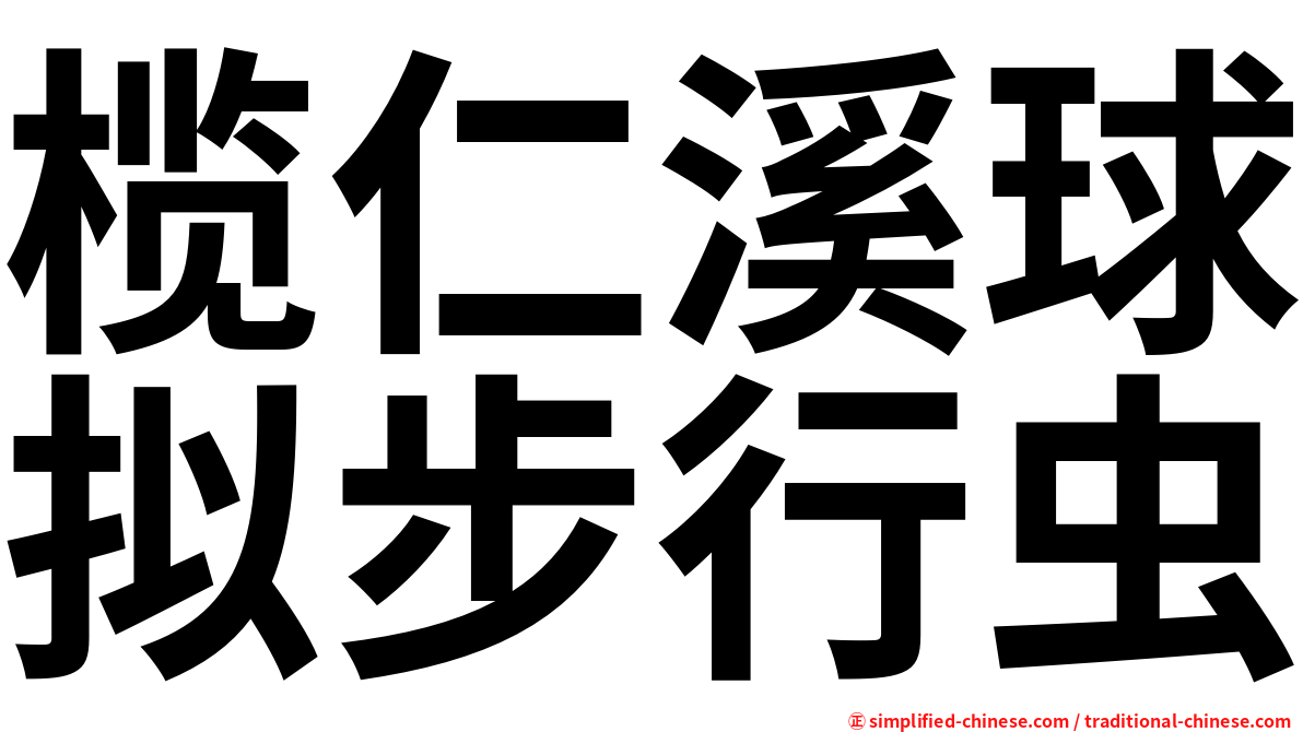 榄仁溪球拟步行虫