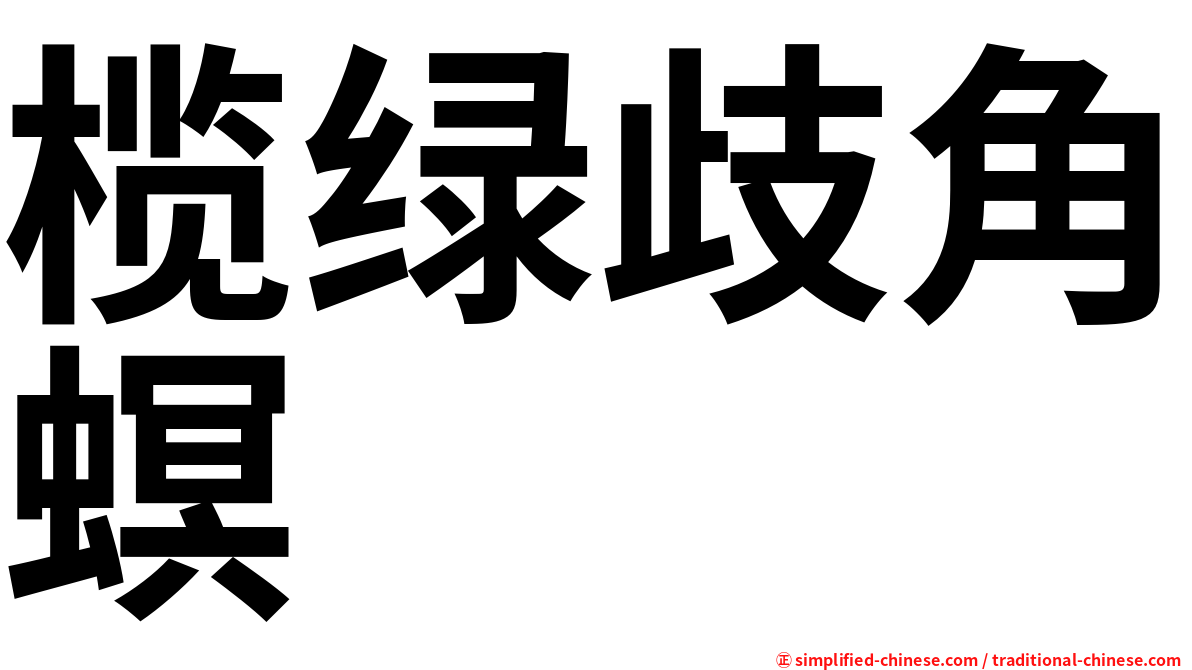 榄绿歧角螟