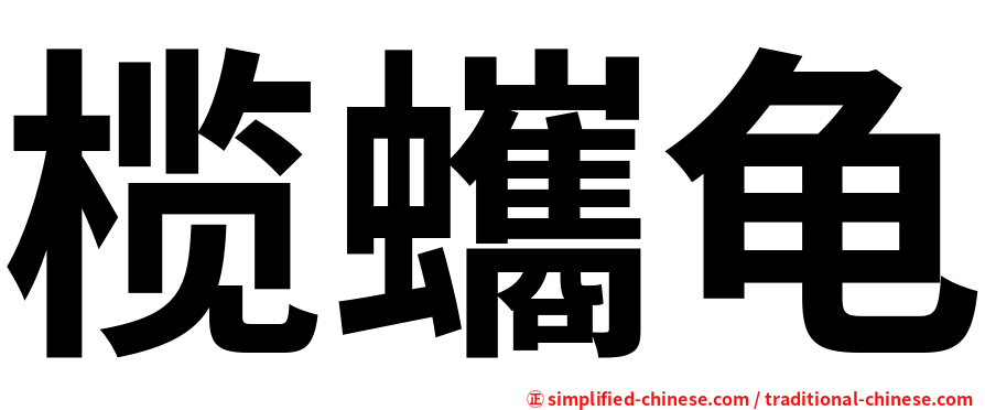 榄蠵龟
