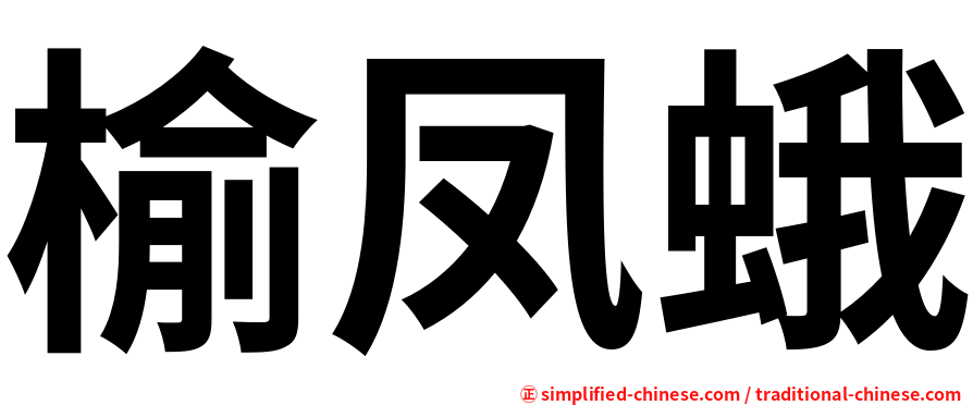 榆凤蛾
