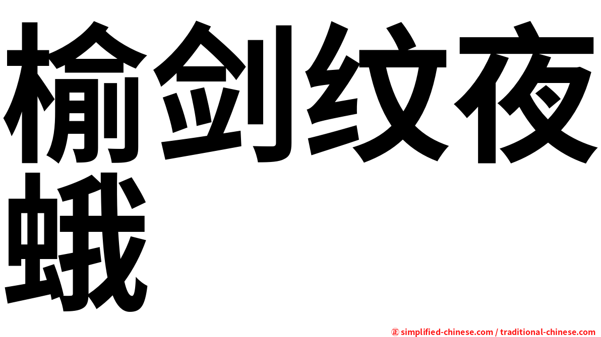 榆剑纹夜蛾