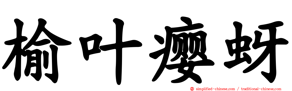 榆叶瘿蚜