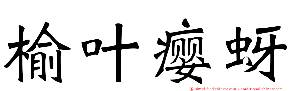 榆叶瘿蚜