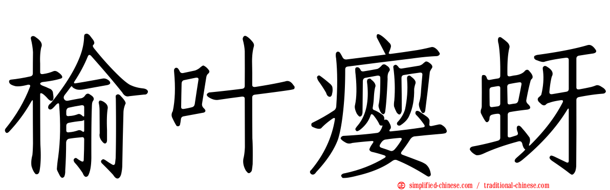 榆叶瘿蚜