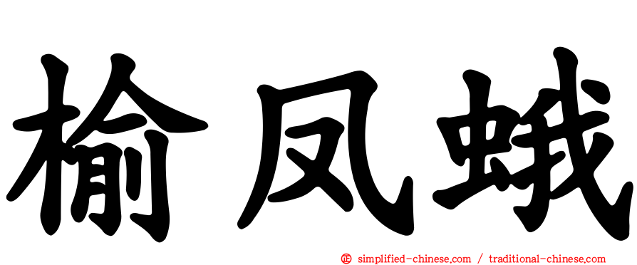 榆凤蛾