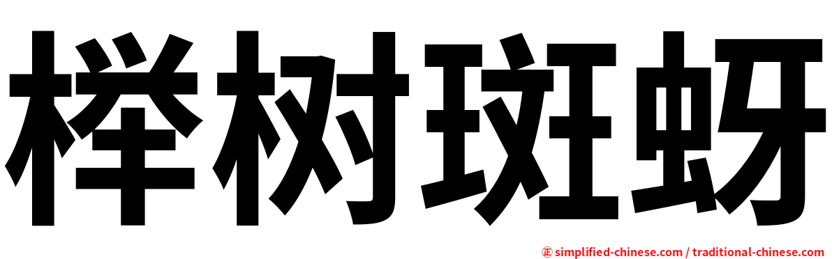 榉树斑蚜